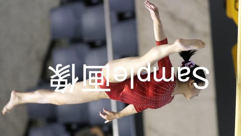 女子体操画像集 2016年全日本体操 種目別 2/2 高画質写真！7500枚