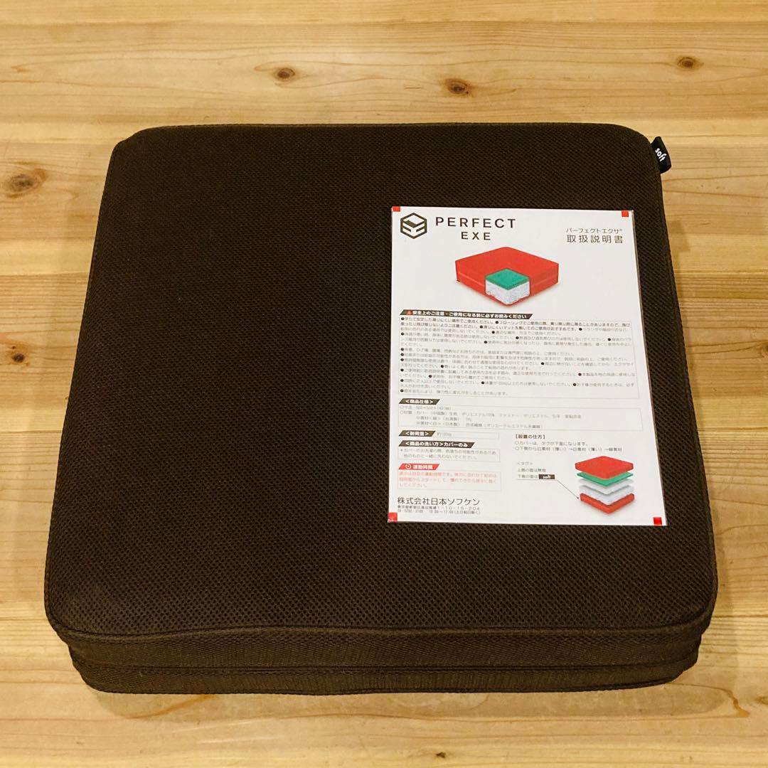 美品　ディノス　パーフェクトエクサ　フィットネス　PERFECT EXE