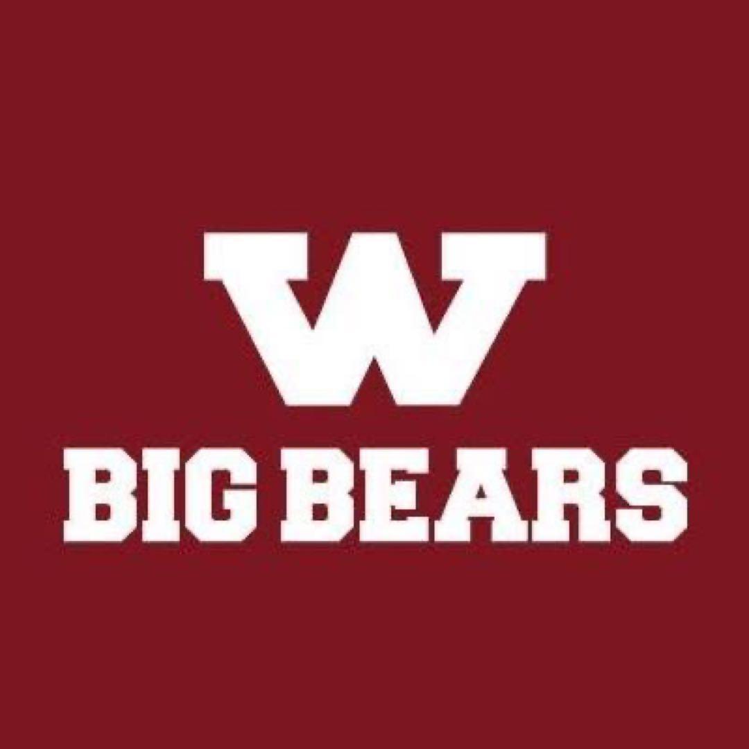 adidas×早稲田“BIG BEARS“チームトレーニングTシャツMDサイズ