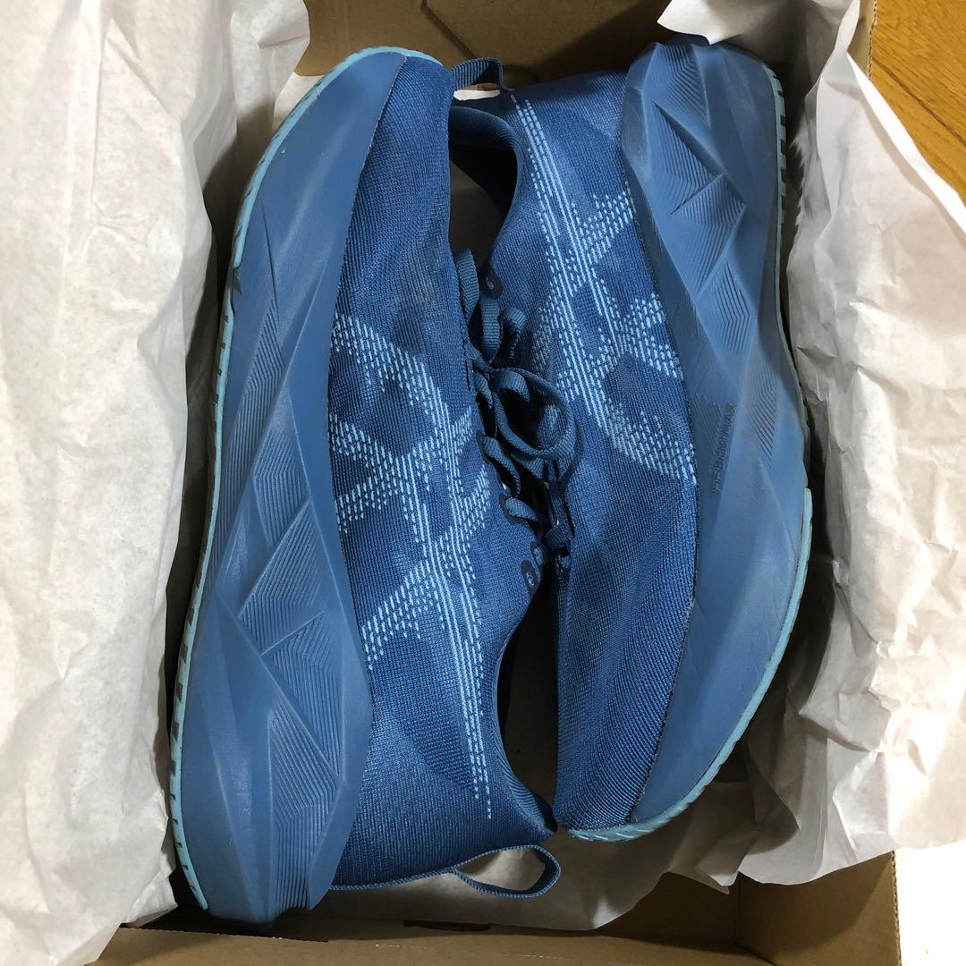 asics　アシックス NOVABLAST 5　27.5ｃｍ　メンズ　ブルー