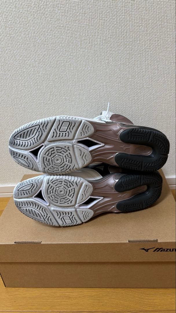Mizuno ボクシングシューズ ウェーブモンスター