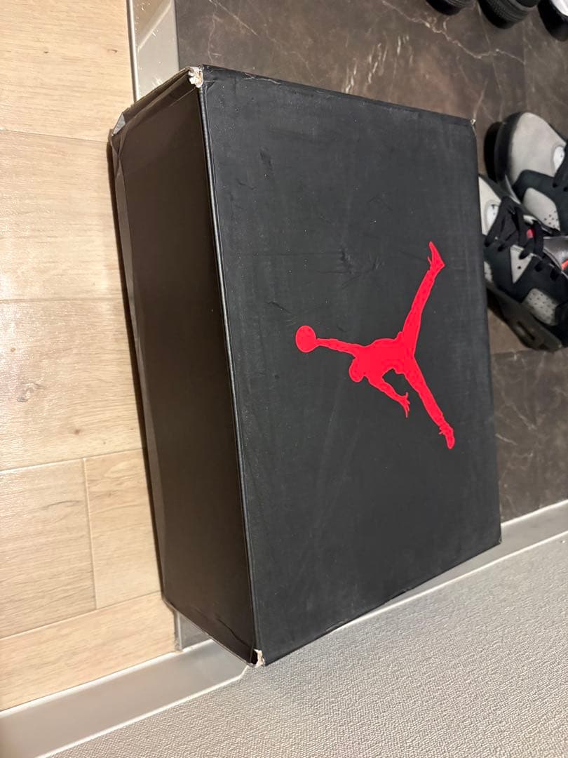シューズ(男性用) Air Jordan 6 PSG 27cm