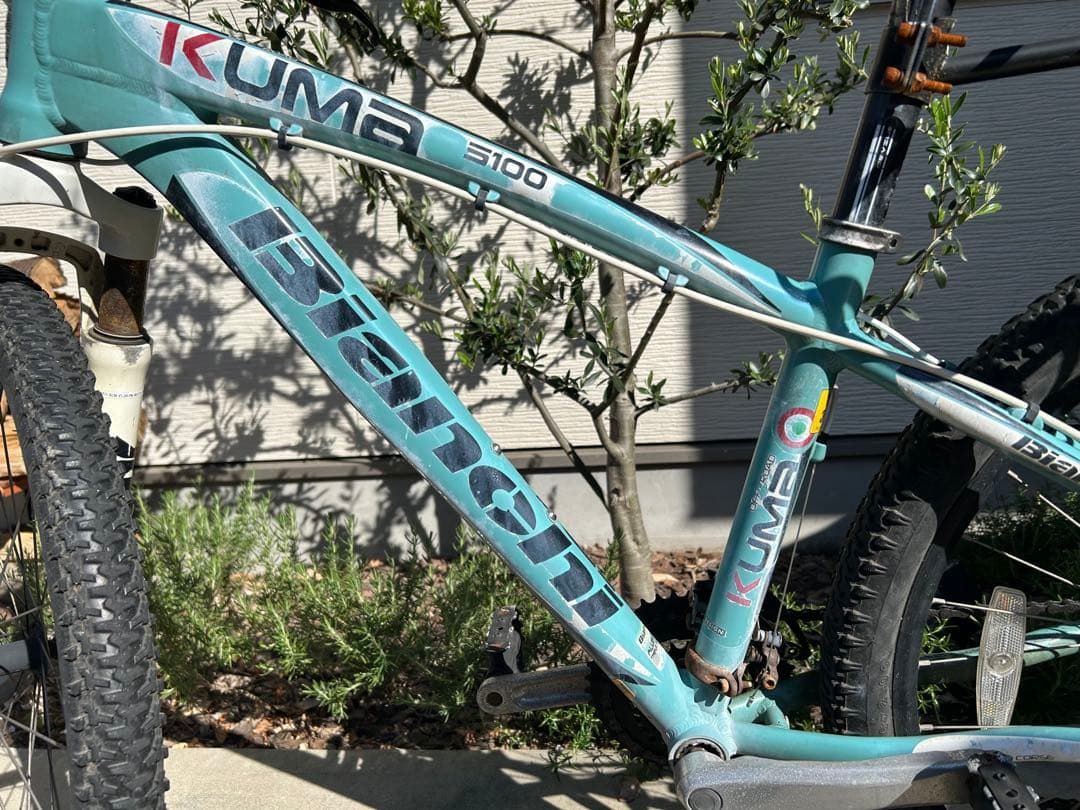 【KameX】Bianchi ビアンキ　kuma 5100