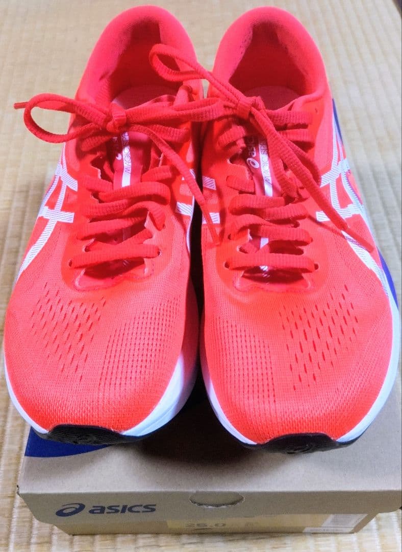 asics MAGIC SPEED 4 ランニングシューズ 25.0 cm 3E