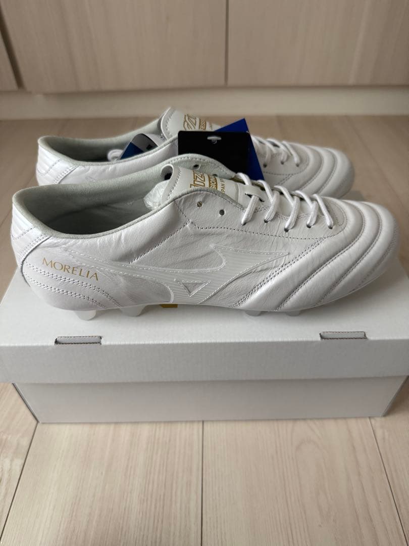 Mizuno Morelia モレリアul 25.5