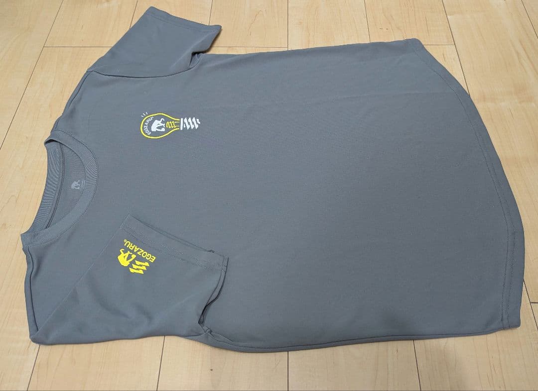 EGOZARU　Tシャツ　ロンT　S M　2枚セット